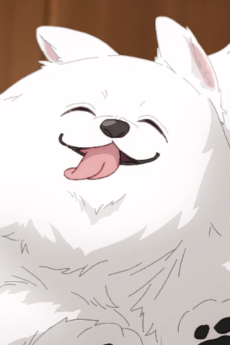 Yukimi