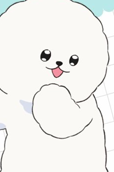 Yeti