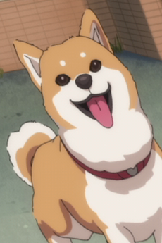 Komugi