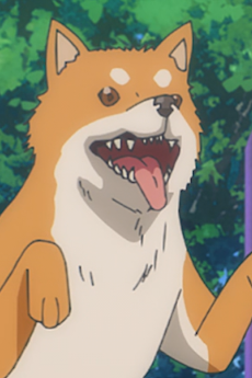 Inu