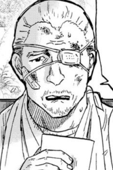 Knuckle Saturnia