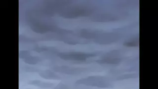 قسمت 15