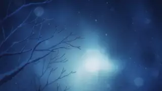 قسمت 12