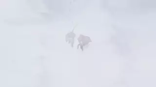قسمت 33