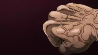 قسمت 24