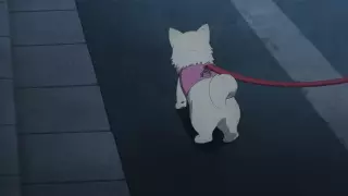 قسمت 10