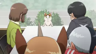 قسمت 4