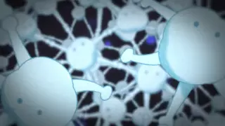 قسمت 14