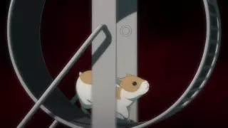 قسمت 11