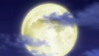 قسمت 6