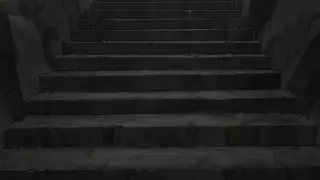 قسمت 8