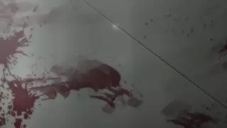 قسمت 15