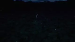 قسمت 11