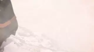 قسمت 17
