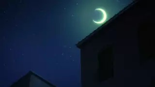 قسمت 7
