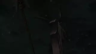 قسمت 8
