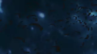 قسمت 1