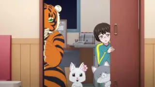 قسمت 11