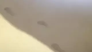 قسمت 2