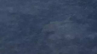 قسمت 8